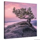 Εικόνα Canvas Ο κόσμος των ονείρων 1 Μ