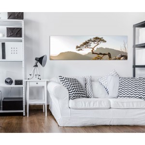 Εικόνα Canvas Βουνά 2