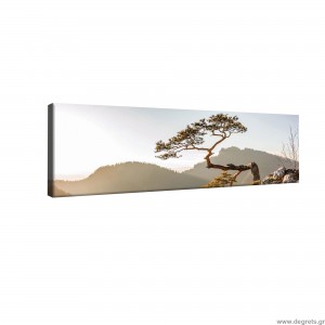 Εικόνα Canvas Βουνά 2