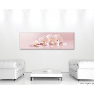Εικόνα Canvas Ορχιδέα 6