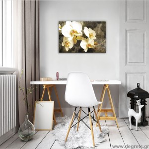 Εικόνα Canvas Ορχιδέα 8