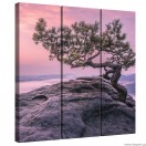 Σετ Εικόνα Canvas 3 κομμάτια Ο κόσμος των ονείρων 1