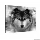 Σετ Εικόνα Canvas 3 κομμάτια Λύκος Σετ Εικόνα Canvas 3 κομμάτια Λύκος