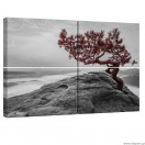 Σετ Εικόνα Canvas 4 κομμάτια Ο κόσμος των ονείρων 2