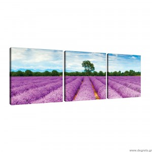 Σετ Εικόνα Canvas 3 κομμάτια Λεβάντα 1