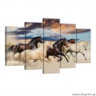 Σετ Εικόνα Canvas 5 κομμάτια Άγρια άλογα Σετ Εικόνα Canvas 5 κομμάτια Άγρια άλογα