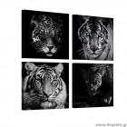 Σετ Εικόνα Canvas 4 κομμάτια Αρπακτικά Σετ Εικόνα Canvas 4 κομμάτια Αρπακτικά