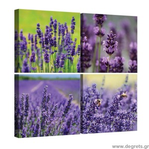 Σετ Εικόνα Canvas 4 κομμάτια Λεβάντα 2